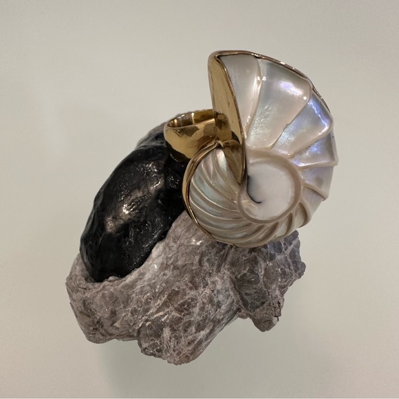 Charles Albert | Unique Shell Ring | Adjustable Size - Picture 10 of 16